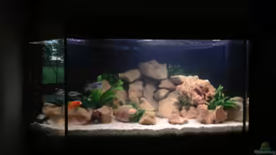 Malawi von Christopher Rose