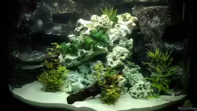 Malawi von Matthias Stett