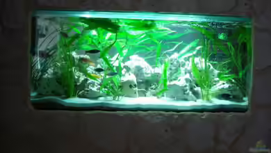 Malawi von Andre Spieler