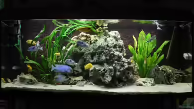 Malawibecken von Timo_76761