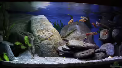 Malawibecken von Borg