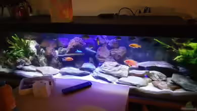 MalawiBecken von Mia Sun