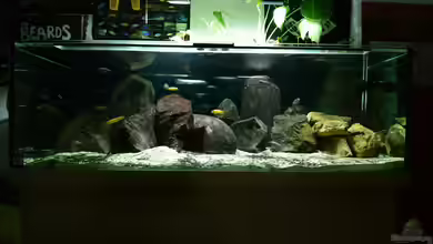 Malawisee Felslitoral von Leonard Georg