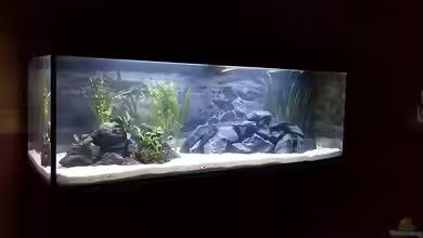 Malawisee im Westerwald von Florian P.