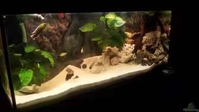 malawiworld von Stephan Fehringer