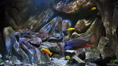 Maleri Islands von Marco O.