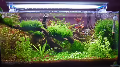 Manado Bay von mike1963