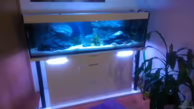 Mannis Malawiwelt von Balian