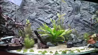 Marco's Schieferbruch von AdrianSoS