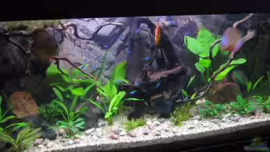 Marie-Christin von Marie-Christin