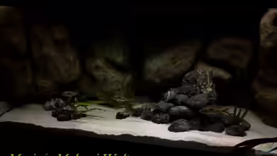 Mario´s Malawi Welt von Mario M.