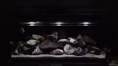 Mbamba Bay Island von Tobias Sch.