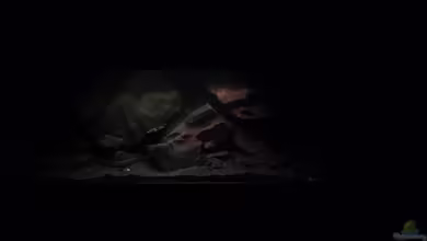 Mbuna Becken (Einlaufphase) von Jan83