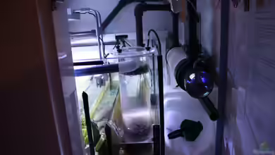 Medienreaktoren richtig einsetzen - Effiziente Wasseraufbereitung im Süß- und Meerwasseraquarium