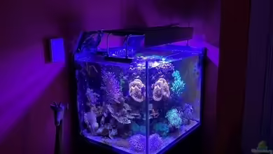 Meerwasser (aufgelöst) von Thomas S-H