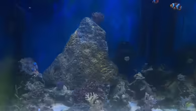 Meerwasser die zweite von Peter Tippmar