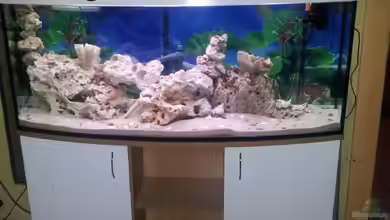 Meerwasser fake von Nicolino