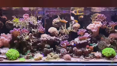 Meerwasser von Jens Berthold