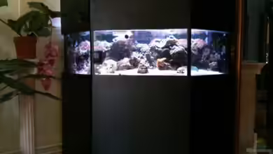 Meerwasser von MisterB