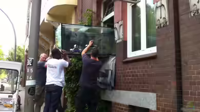 Mein altes Malawi von Dynnarts