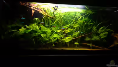 Mein Becken von Karim C