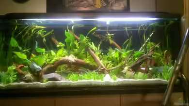 Mein eigenes Stück Amazonas von Andy90