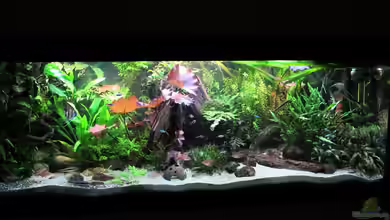 mein eingebautes (AUFGELÖST) von Sarah