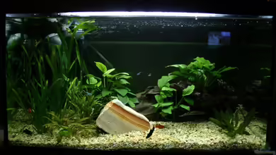 Mein erstes Becken - NICHT MEHR VORHANDEN von Christoph904