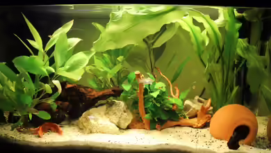 Mein Erstes von Strandberd