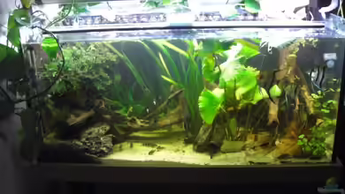 Mein Großes von Sebastian Ogorek