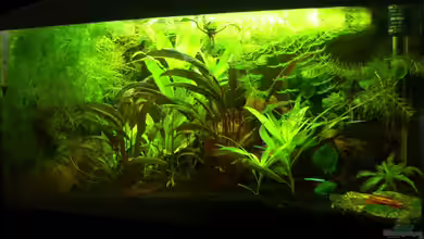 Mein kleines Erstes von DerAusDemNixKam