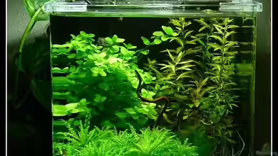 Mein Kleines von *Dominique*