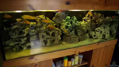 Mein Malawi von Erwin12