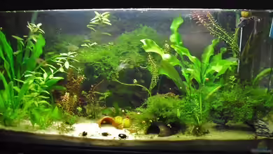 Mein Studentenbudenbecken von Julia