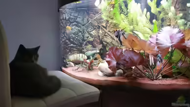 Mein Südamerika von David Kussmann