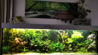 Mein Südamerika von Heike Fuchs