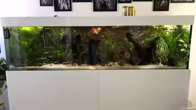 Mein Südamerikatraum (nur noch Beispiel) von stroelly