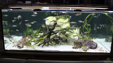 Mein Wohnzimmersee von Jörg