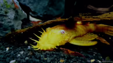 Micro-Dschungel von Steffen S.