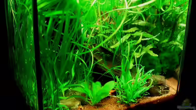 Minimi 30l von ~Marco~