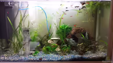 Misch Masch von mamo2000