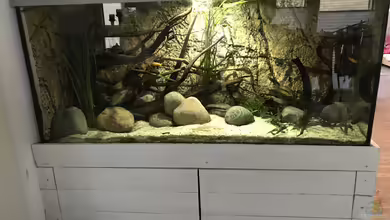 Mittelamerika von Basti@