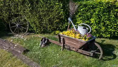 Moderne Gartengestaltung: Das sind die 5 goldenen Regeln