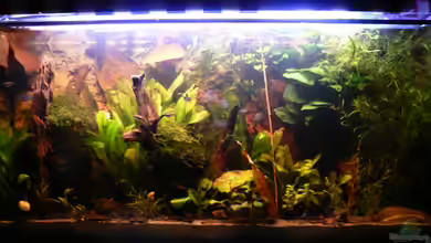 Montezumas Badewanne (aufgelöst) von Zapfenmanderl