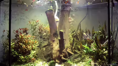 Monument von Triameh