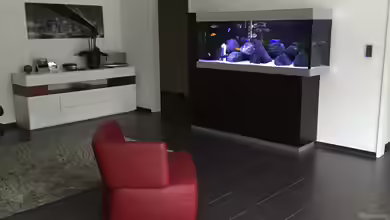 My Malawi-Dream von flightsim