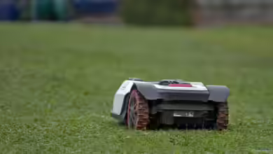 Nachtfahrverbot für Mähroboter - warum nächtliches Mähen zunehmend verboten wird