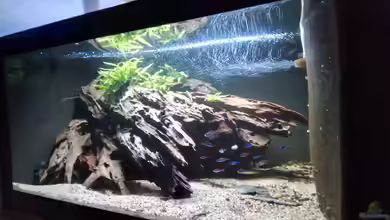 Namenlos II von Fichte