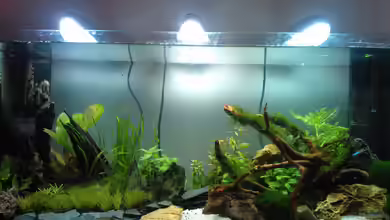 nano 30l--96l von madapusa
