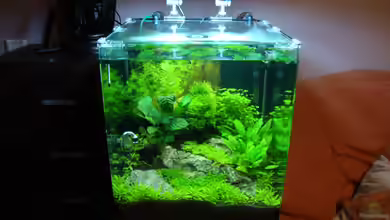 Nano Cube 60 Liter von Christoph Luz